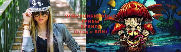 спиды Вязьма